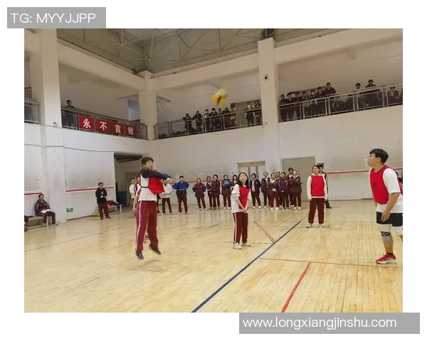 西安排球队状态分析与未来发展展望聚焦排球竞技之路